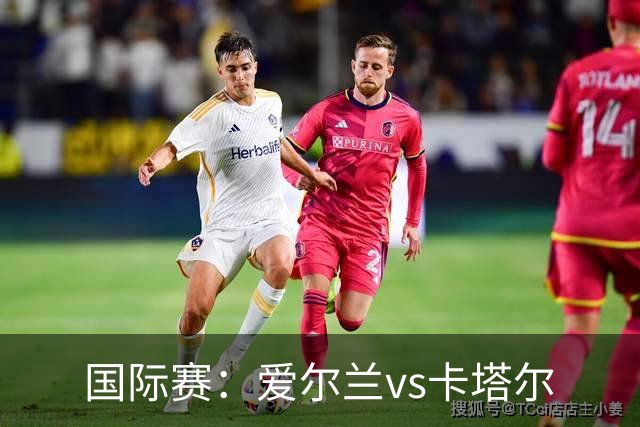 国际赛：爱尔兰vs卡塔尔