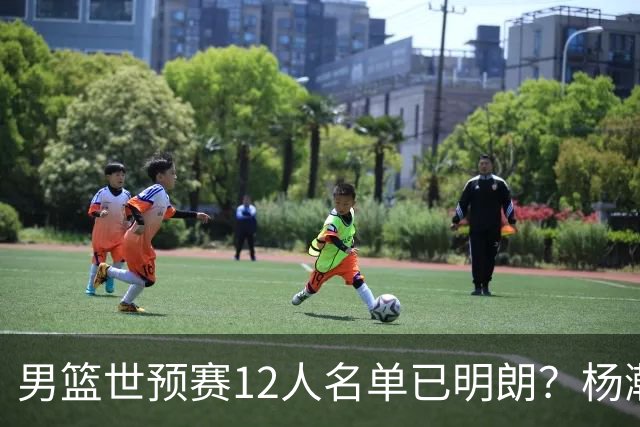 男篮世预赛12人名单已明朗？杨瀚森张镇麟领衔：赵继伟或落选？