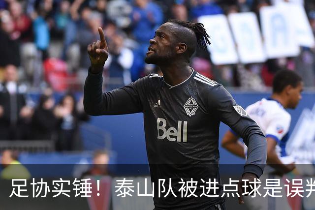 足协实锤！泰山队被进点球是误判